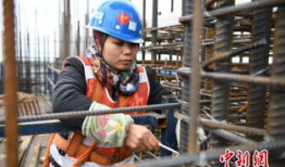 农民新闻视频爆料网,聚焦农村热点，传递农民心声