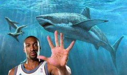 洛杉矶鲨鱼爆料最新消息,揭秘神秘事件背后真相