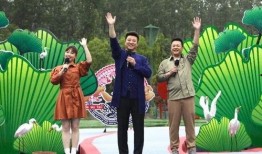 最新爆料dj美羊羊视频,揭秘幕后故事与精彩瞬间