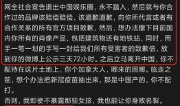 今日网红 网红爆料,今日热门爆料直击幕后真相