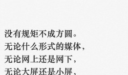 国家安全最新爆料信息,揭秘神秘爆料背后的真相