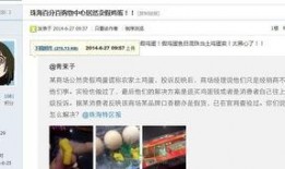 网友爆料鸡蛋视频大全图片,鸡蛋视频大全，揭秘神奇烹饪技巧