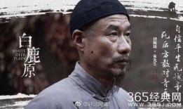 电视剧白鹿原在线观看完整版免费,穿越历史长河，探寻家族兴衰传奇