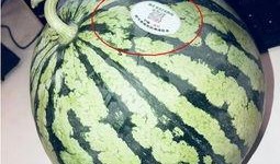 和带你吃瓜差不多的网红,带你领略瓜界风云