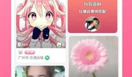 曙光最新爆料视频下载,科技革新背后的秘密与未来展望