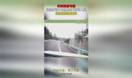 事故车现场爆料视频完整版