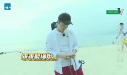 团山最新爆料消息视频,揭秘神秘事件背后的惊人真相！