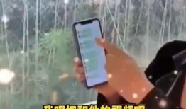 张兰爆料汪小菲豪车视频,奢华生活引热议