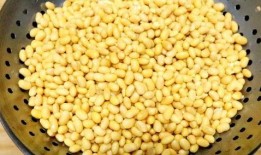 大豆行情网免费网站大全吃瓜,吃瓜群众必看的行情资讯汇总