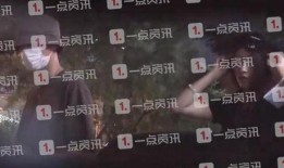 最新爆料王鹤棣视频,神秘情节引网友热议