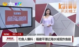 钓鱼爆料视频下载免费,免费下载背后的真相与技巧