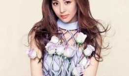 娱乐圈爆料直播白鹿,揭秘明星幕后故事