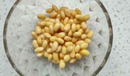 大豆行情网免费网站大全吃瓜,吃瓜群众必看的行情资讯汇总