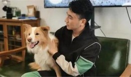 二狗爆料梦幻小柒视频,二狗爆料背后的惊人真相