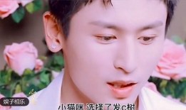 明星大爆料特效视频素材,特效视频背后的制作秘辛