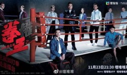 拳王 港剧在线观看