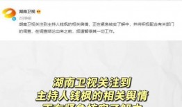 吃瓜娱乐模板,揭秘明星们的“瓜田”奇遇记