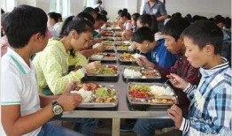 林州一中食堂爆料案件视频,揭开校园食品安全背后的真相