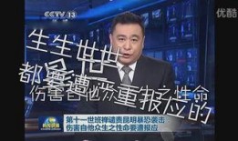 央视新闻原神爆料事件,揭秘游戏幕后真相与争议