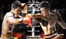 拳王 港剧在线观看