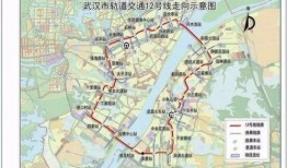 武汉八号线爆料最新消息