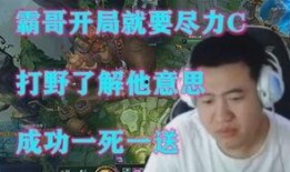小其哥爆料刘二哈视频,揭秘网络红人幕后真相