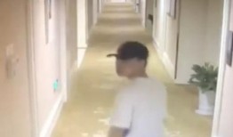 女子爆料酒店视频播放网站,隐私泄露，安全堪忧