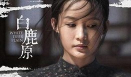 电视剧白鹿原在线观看完整版免费,穿越历史长河，探寻家族兴衰传奇