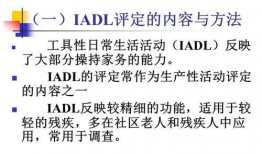 生产性活动在线观看,揭秘高效生产流程