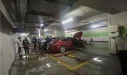 狗仔爆料地下车库视频,地下车库惊现明星神秘片段