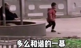 孙子爆料爷爷视频,孙子曝光爷爷珍贵视频，家族往事重现眼前