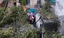 梅州大埔爆料事件最新,揭秘背后真相与争议焦点