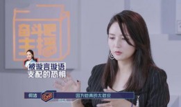 叶璇最新爆料何洁小说,何洁小说背后的惊人真相