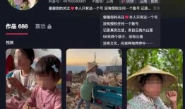 云南网红事件爆料视频大全,揭秘爆料视频背后的真相与争议