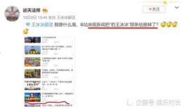 王冰冰发展爆料视频播放,揭秘明星成长之路