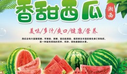 吃瓜娱乐封面设计图片高清,揭秘高清封面背后的娱乐风云