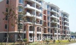 化工区二手房最新爆料,价格波动与潜力解析