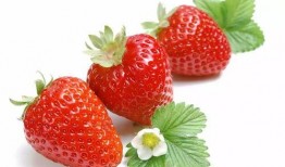 娱乐吃瓜酱草莓视频,娱乐吃瓜酱带你揭秘娱乐圈幕后故事