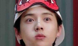 柚子君爆料鹿晗视频合集,柚子君独家爆料，精彩瞬间大盘点