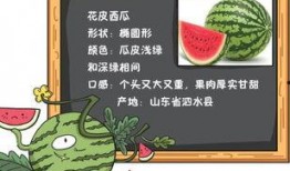 吃瓜观火小说免费阅读,揭秘小说世界中的神秘事件与人物命运