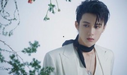 微博爆料檀健次事件视频,真相与争议交织的娱乐圈风云